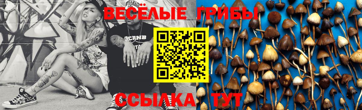 Галлюциногенные грибы Cubensis  Галлюциногенные грибы MAGIC MUSHROOMS  Вход с VPN  Узловая 